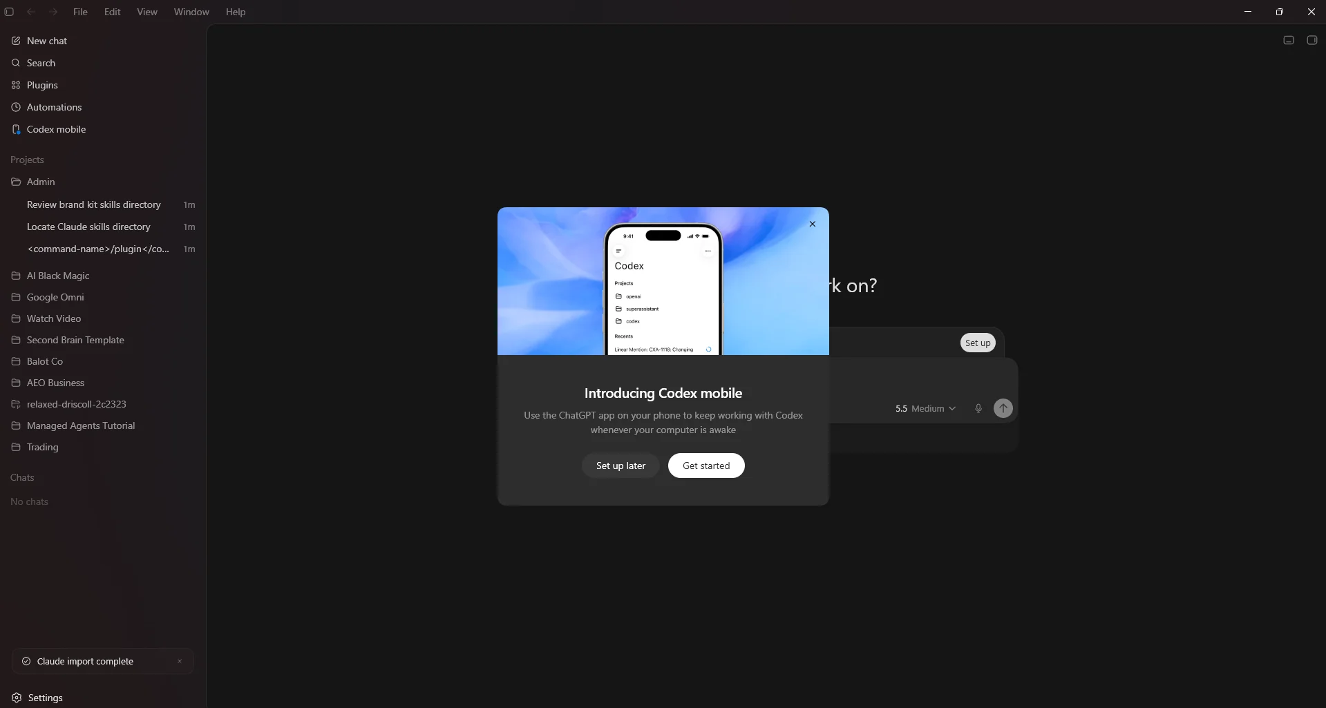 The main Codex app interface with the projects sidebar after setup