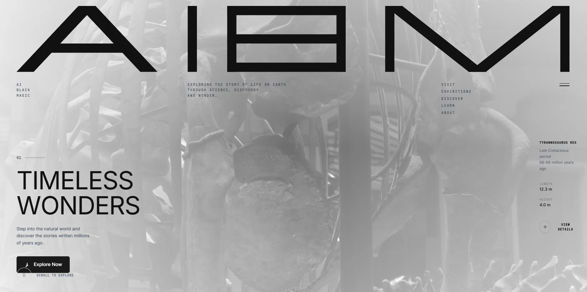 Screenshot of one-shot landing page build, sample 09