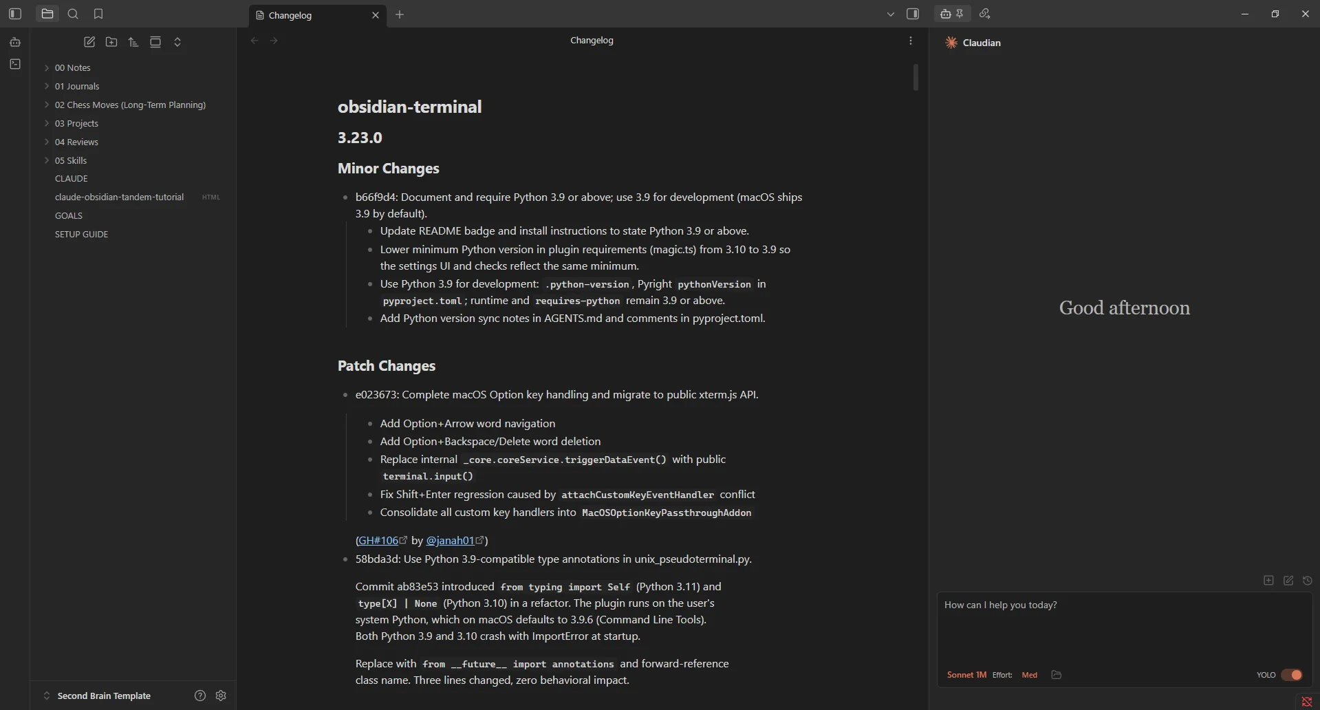 Local REST API plugin settings inside Obsidian showing the API key field